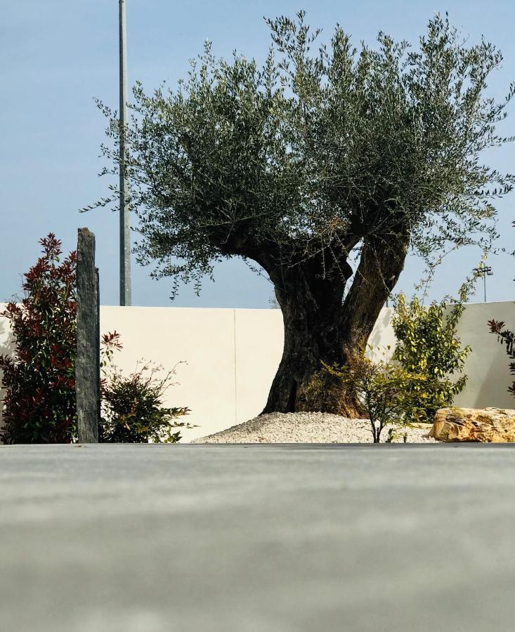 L'Oasis Vendargues Panzió Kültér fotó